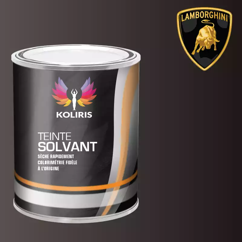 Peinture voiture solvant Lamborghini