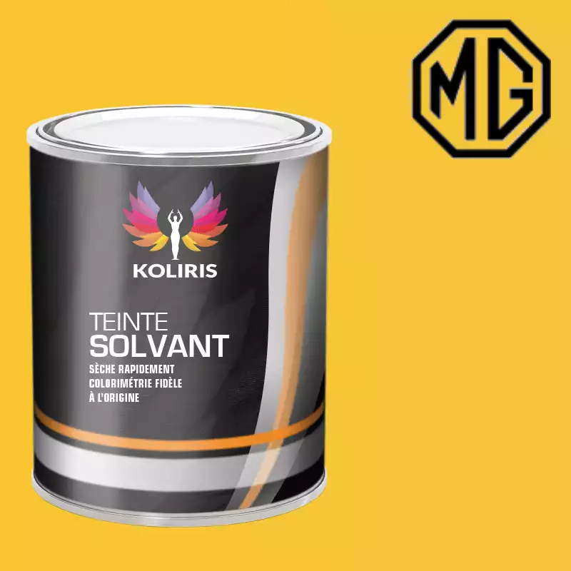 Peinture voiture solvant Mg