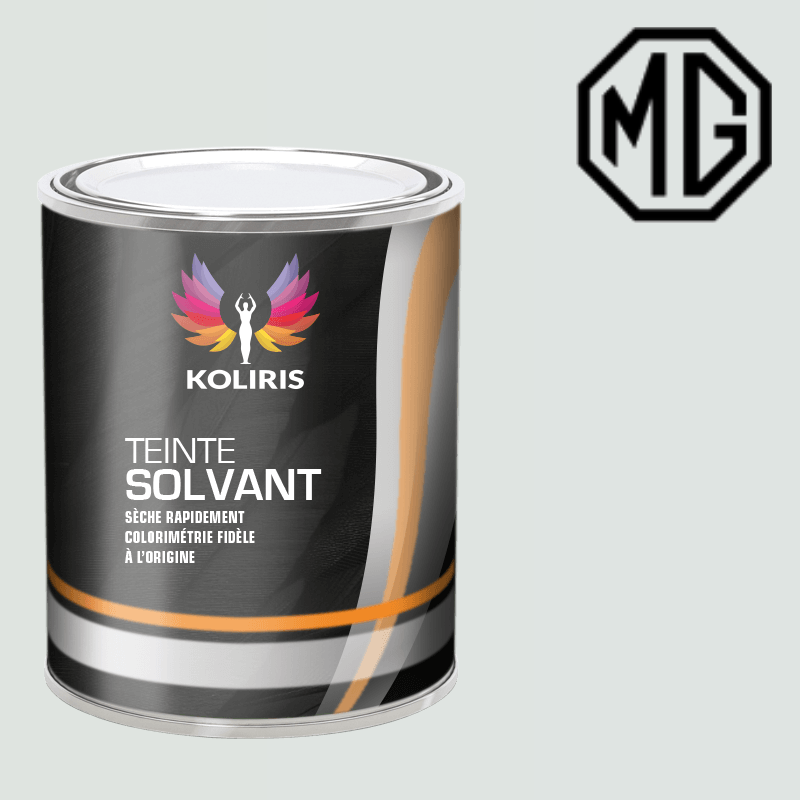 Peinture voiture solvant Mg