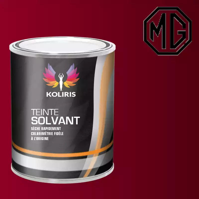 Peinture voiture solvant Mg