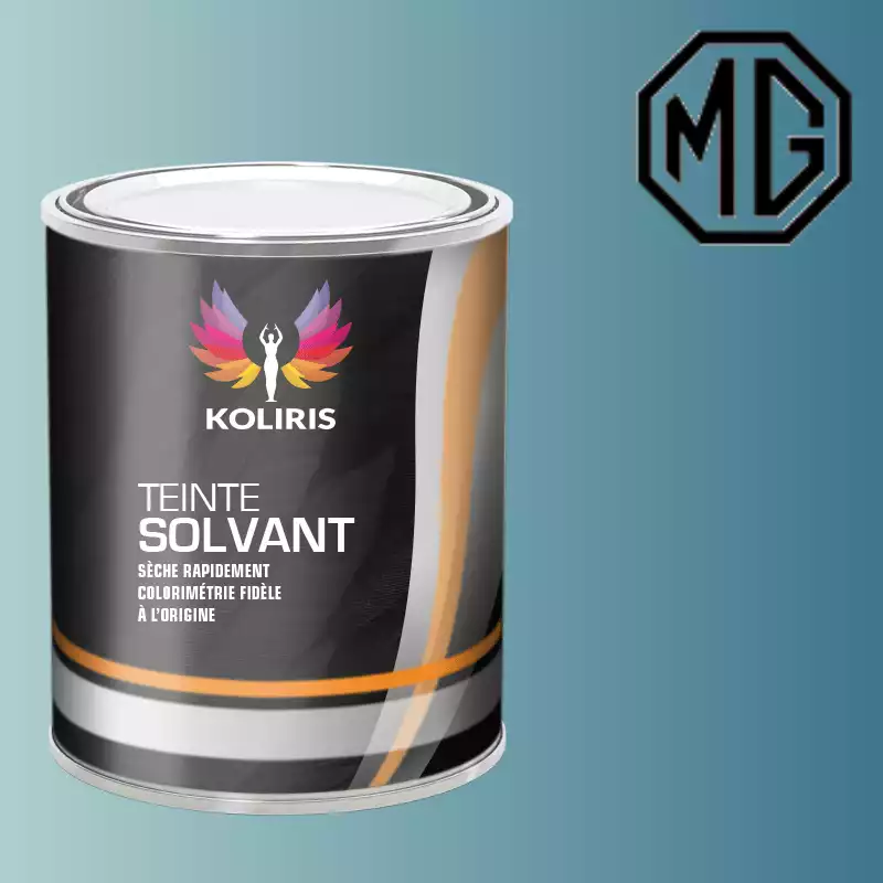 Peinture voiture solvant Mg