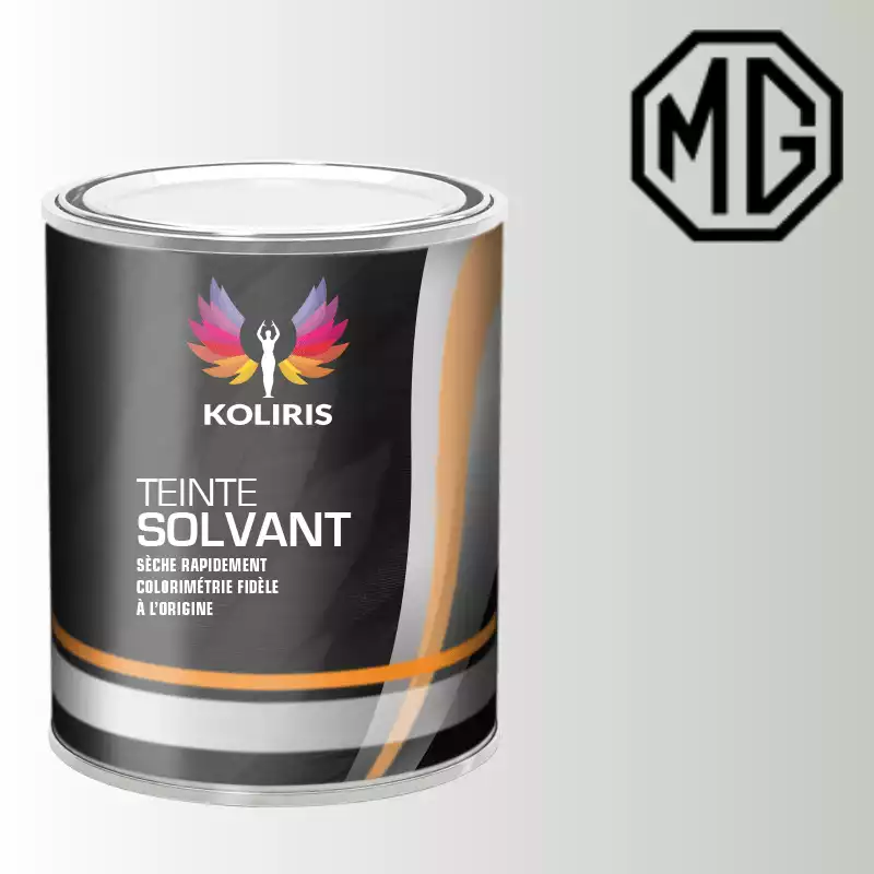 Peinture voiture solvant Mg