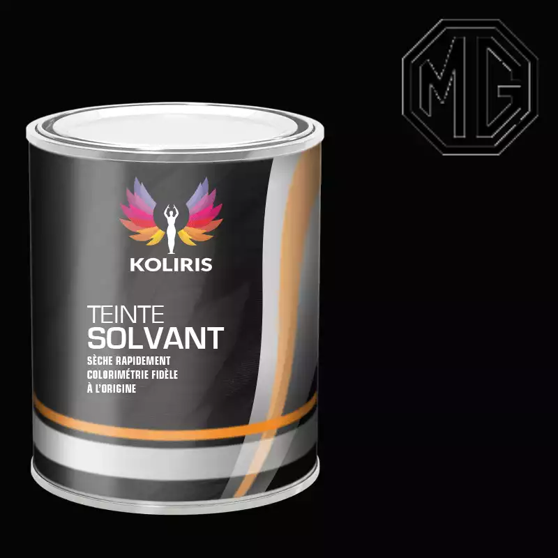 Peinture voiture solvant Mg