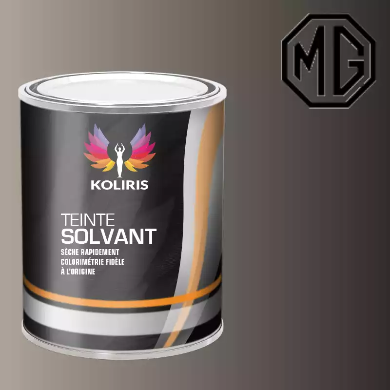 Peinture voiture solvant Mg