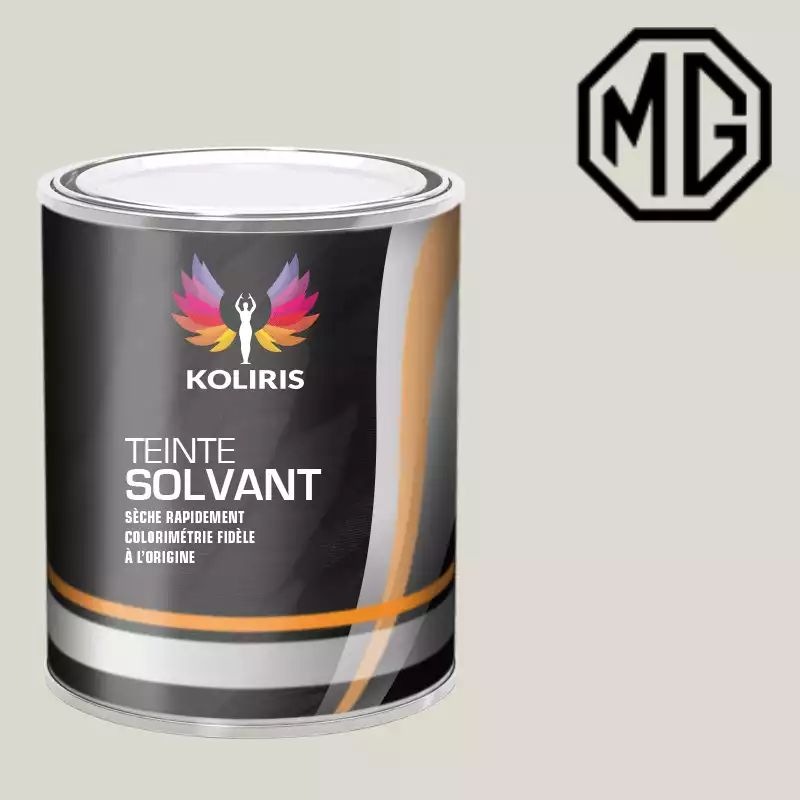 Peinture voiture solvant Mg