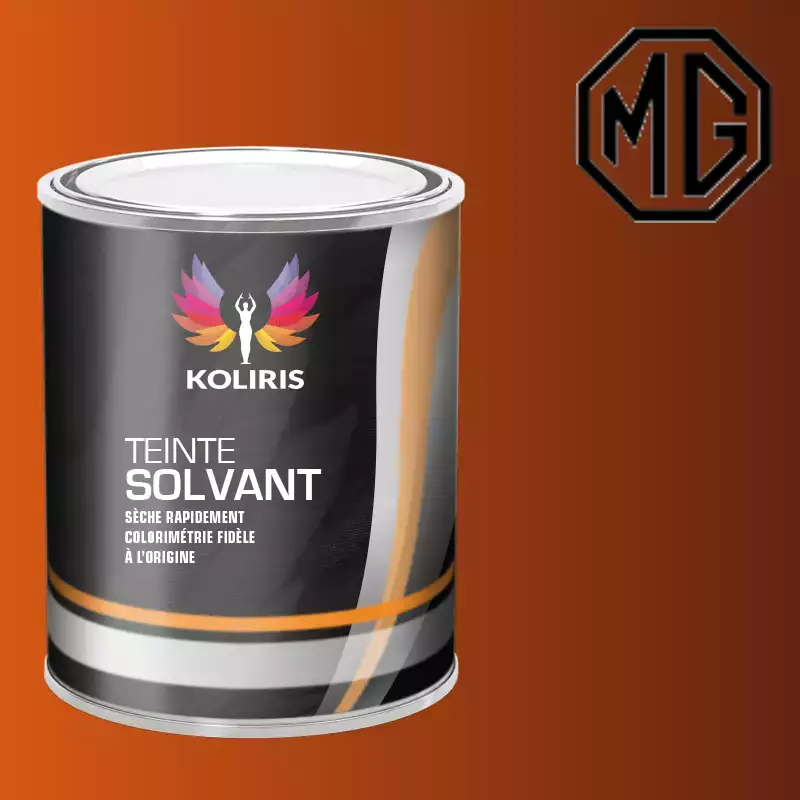 Peinture voiture solvant Mg