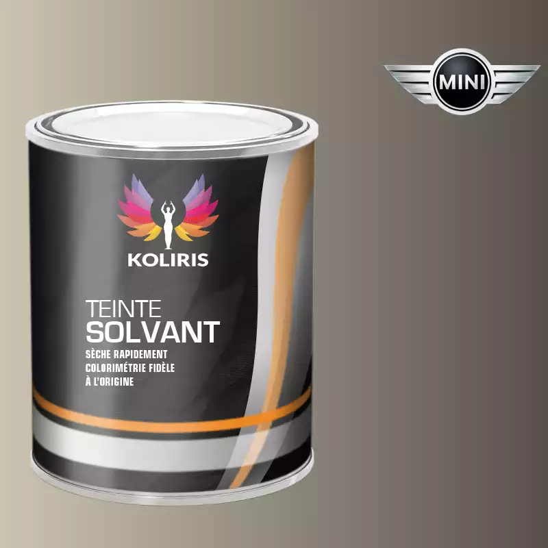 Peinture voiture solvant Mini