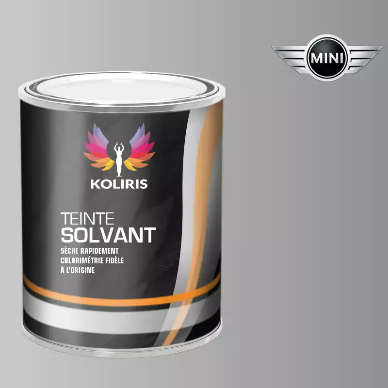 Peinture voiture solvant Mini