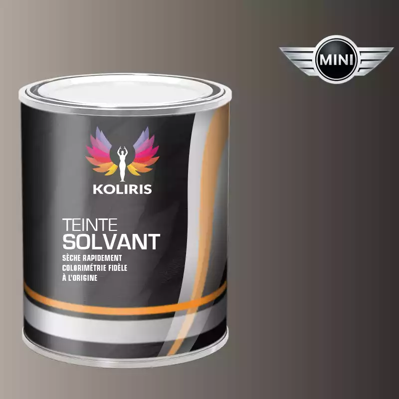 Peinture voiture solvant Mini