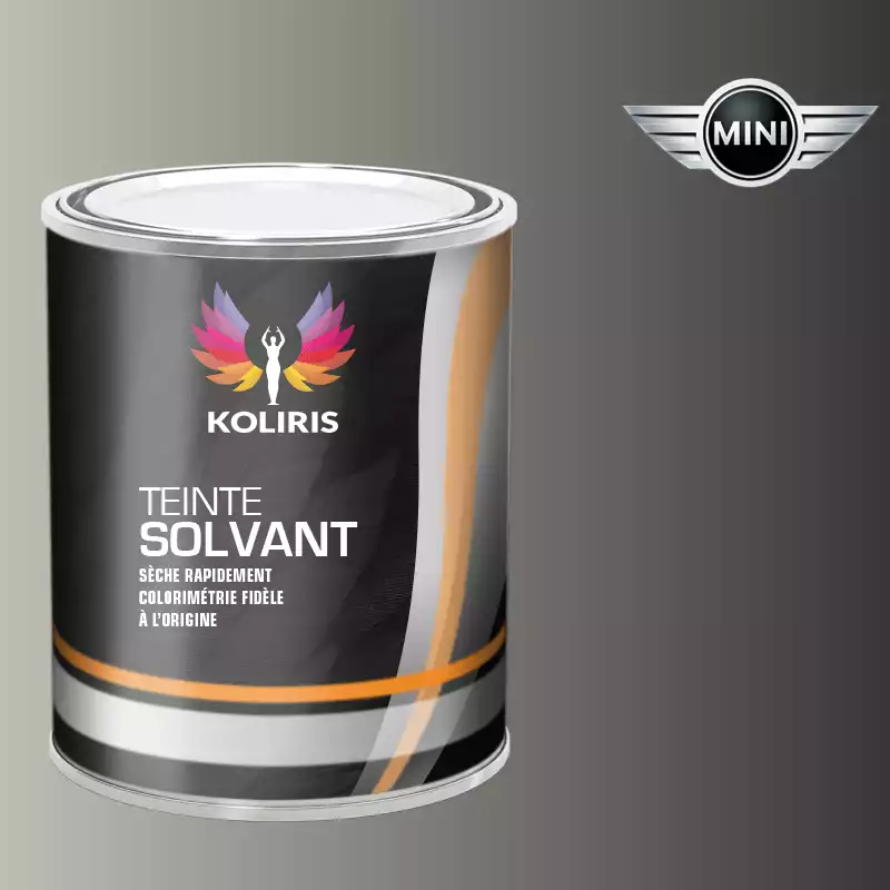 Peinture voiture solvant Mini