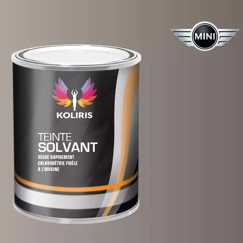 Peinture voiture solvant Mini