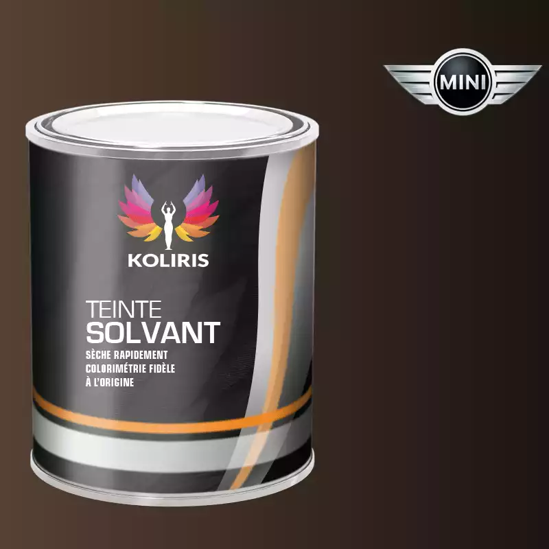 Peinture voiture solvant Mini