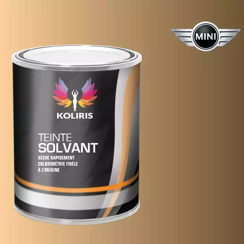 Peinture voiture solvant Mini