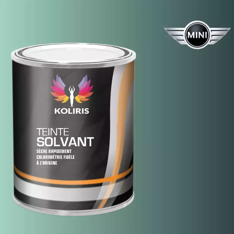 Peinture voiture solvant Mini