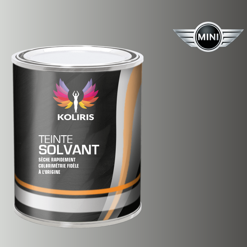 Peinture voiture solvant Mini