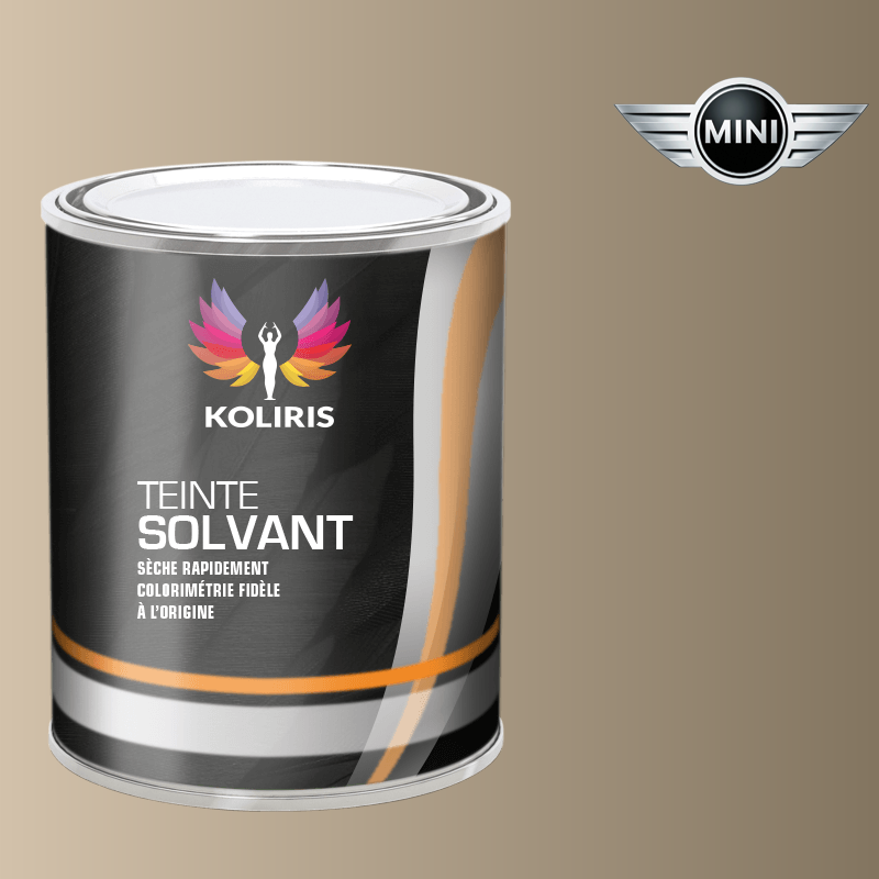 Peinture voiture solvant Mini