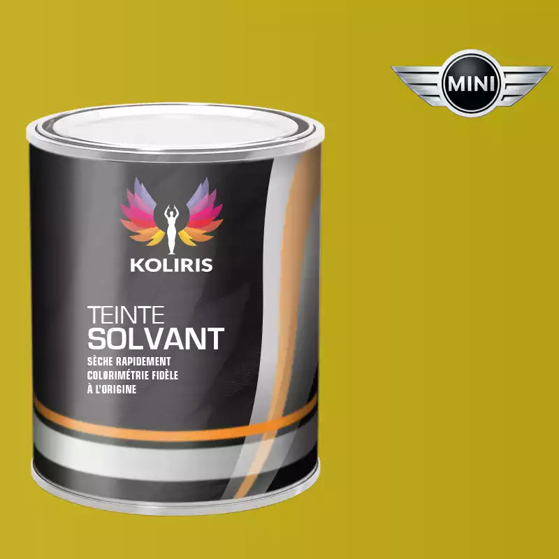 Peinture voiture solvant Mini