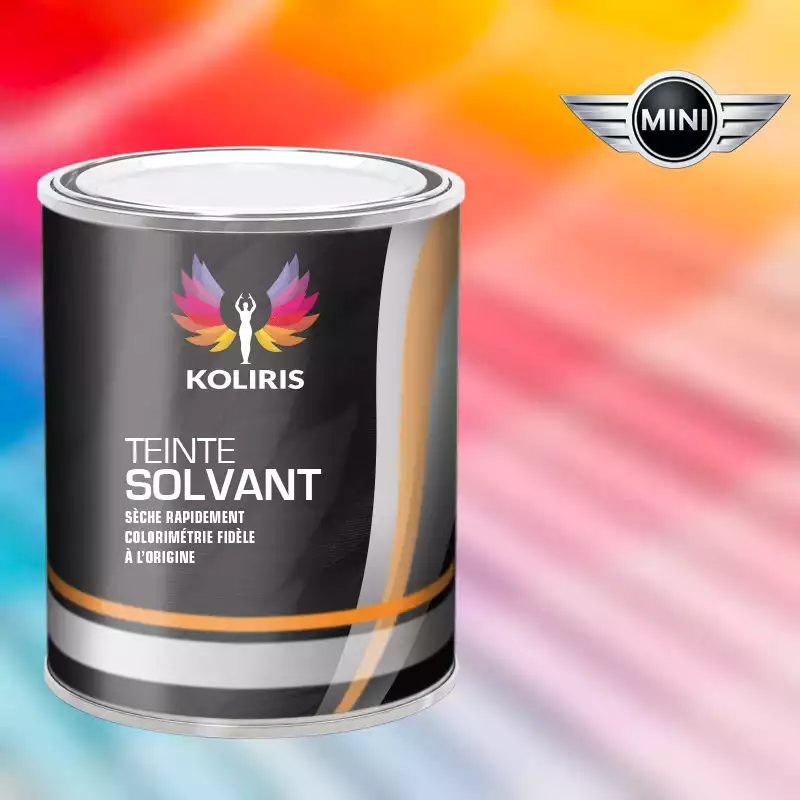 Peinture voiture solvant Mini