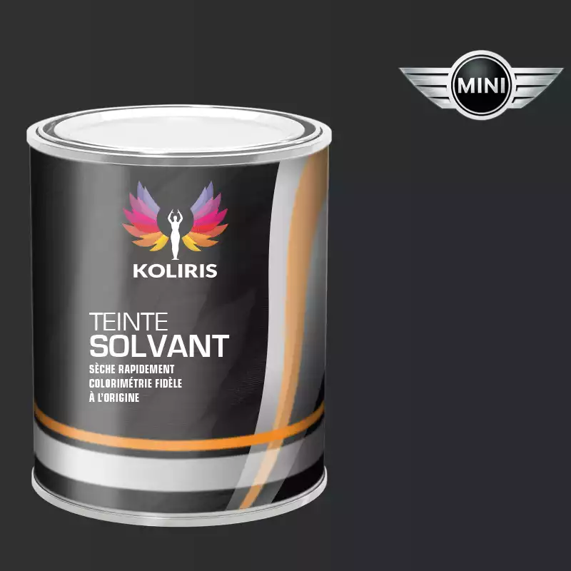 Peinture voiture solvant Mini