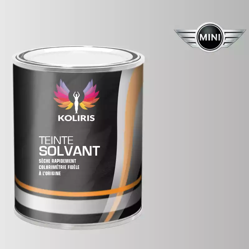 Peinture voiture solvant Mini