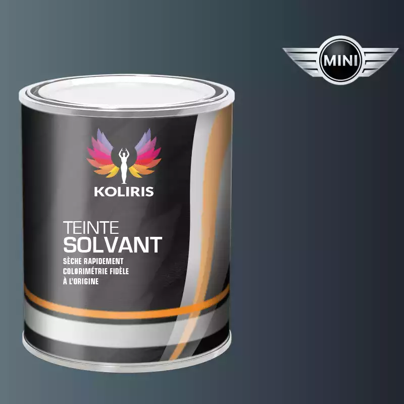 Peinture voiture solvant Mini