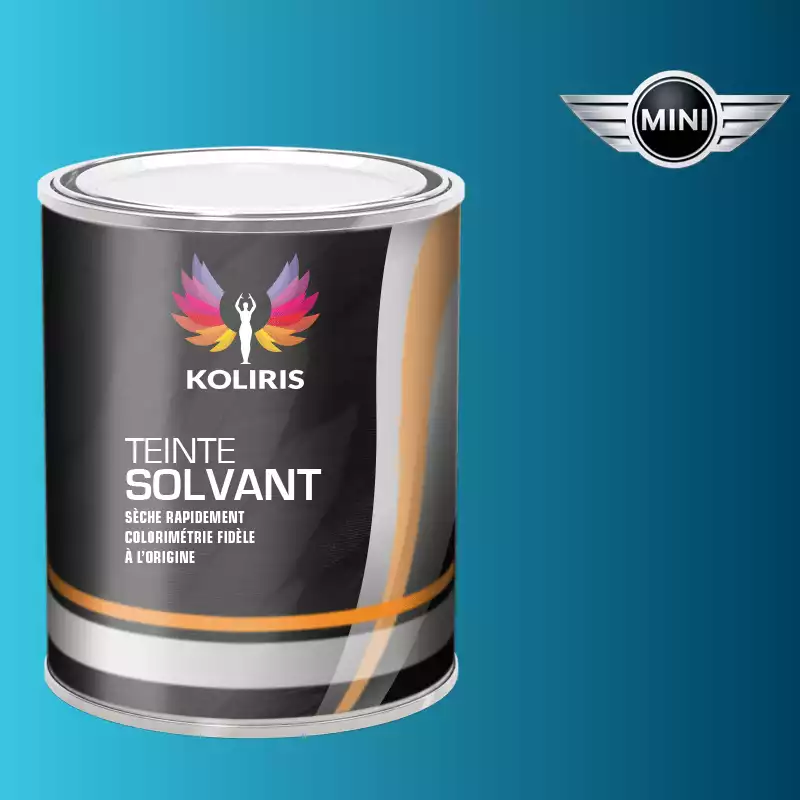 Peinture voiture solvant Mini