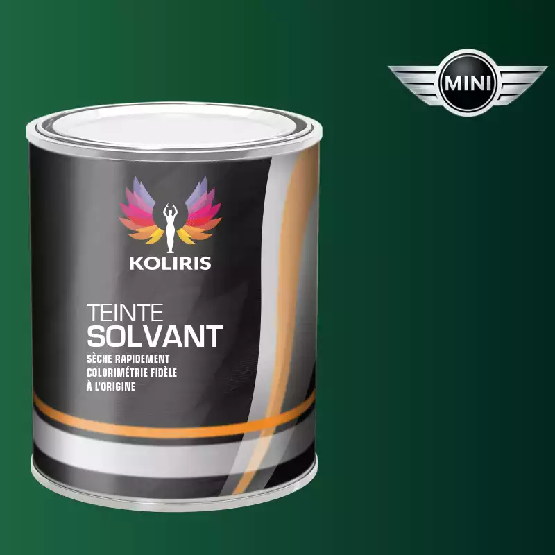 Peinture voiture solvant Mini