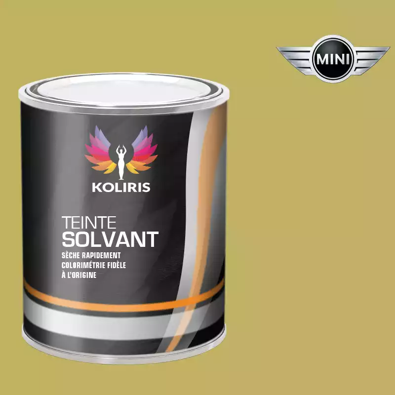 Peinture voiture solvant Mini