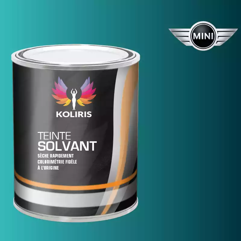 Peinture voiture solvant Mini