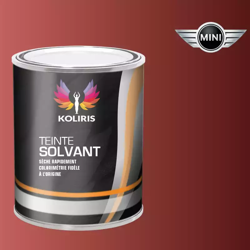 Peinture voiture solvant Mini