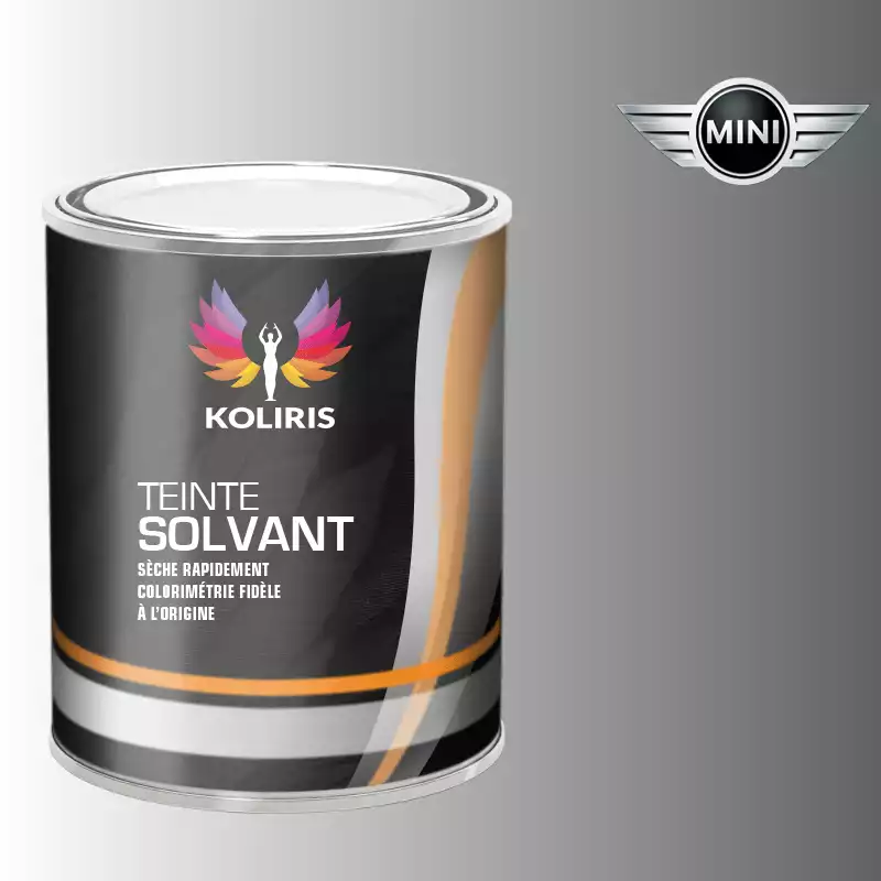 Peinture voiture solvant Mini