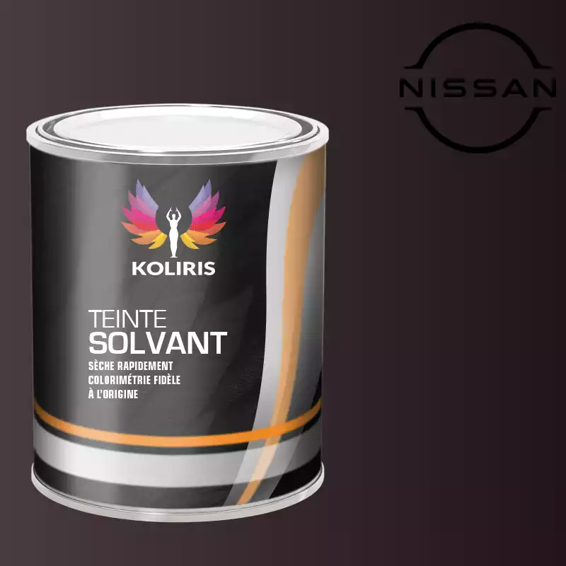 Peinture voiture solvant Nissan