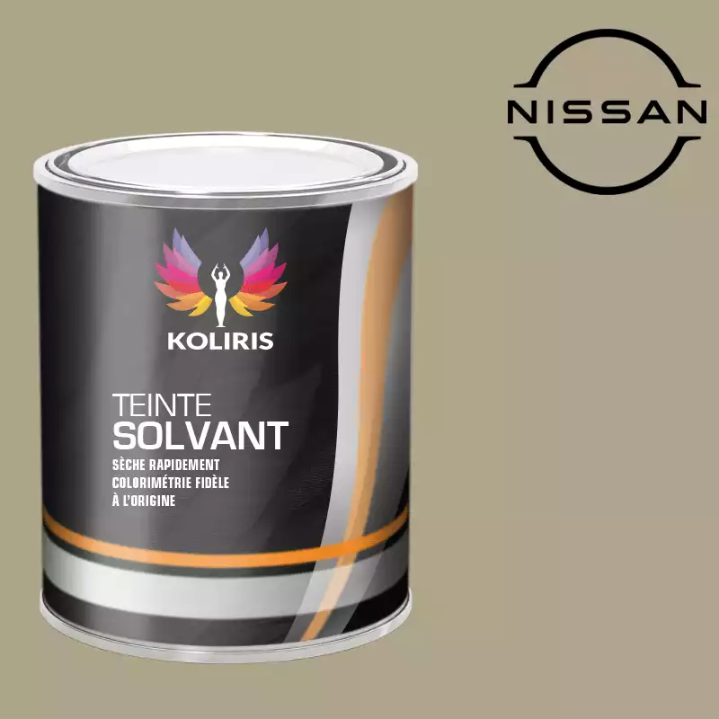 Peinture voiture solvant Nissan