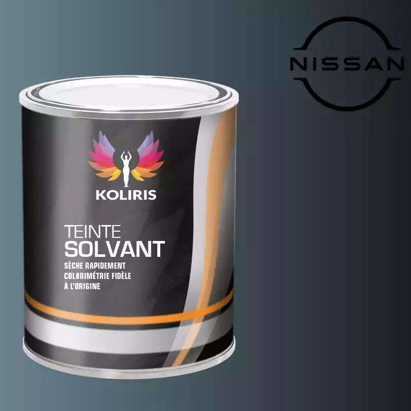 Peinture voiture solvant Nissan