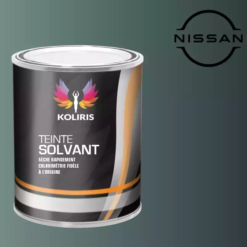 Peinture voiture solvant Nissan