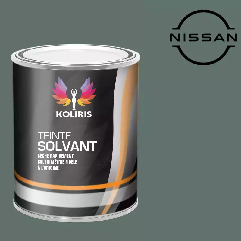 Peinture voiture solvant Nissan