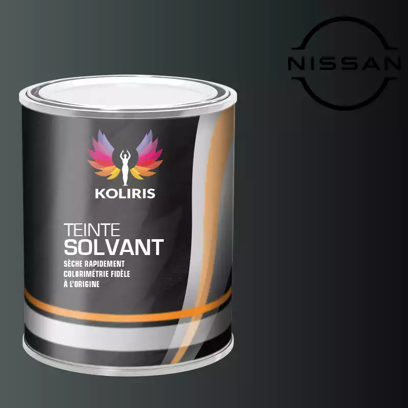 Peinture voiture solvant Nissan