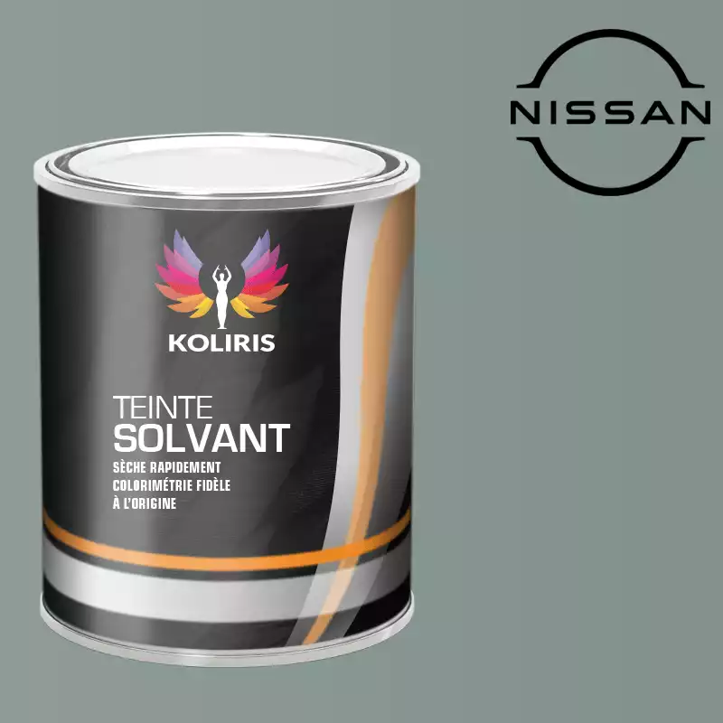 Peinture voiture solvant Nissan