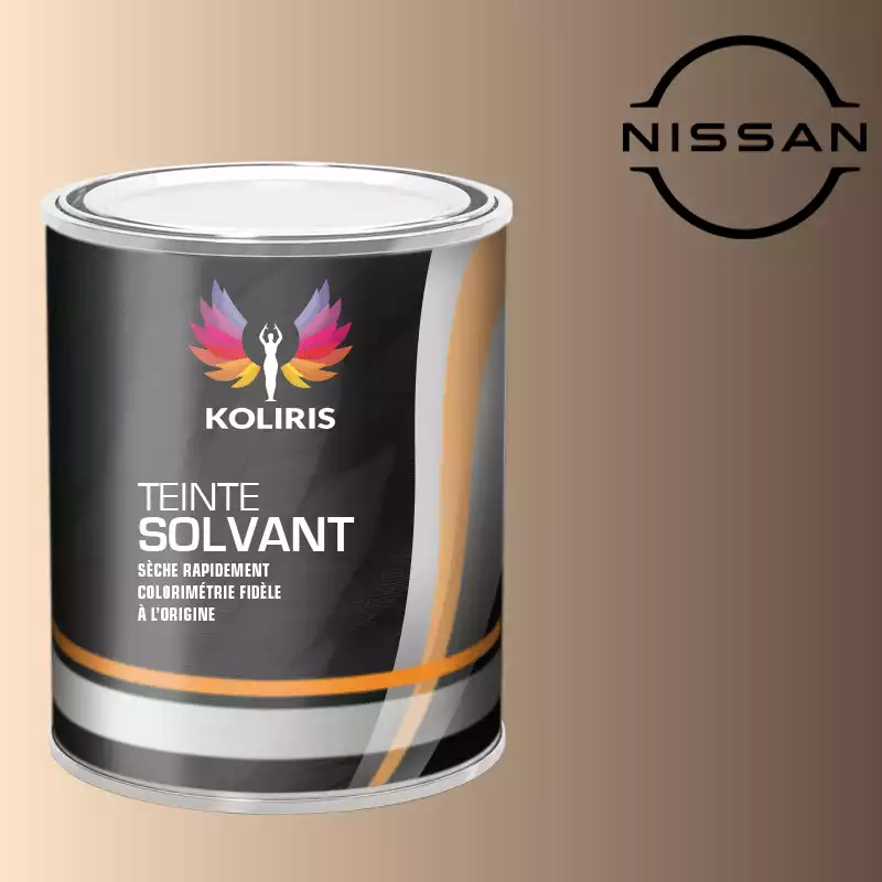 Peinture voiture solvant Nissan