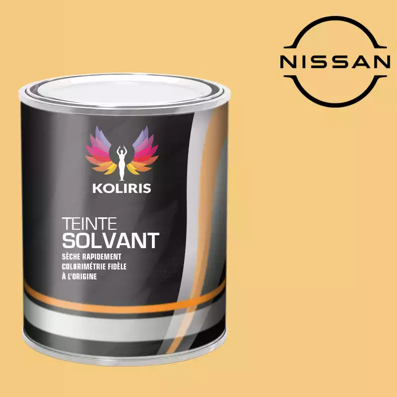 Peinture voiture solvant Nissan