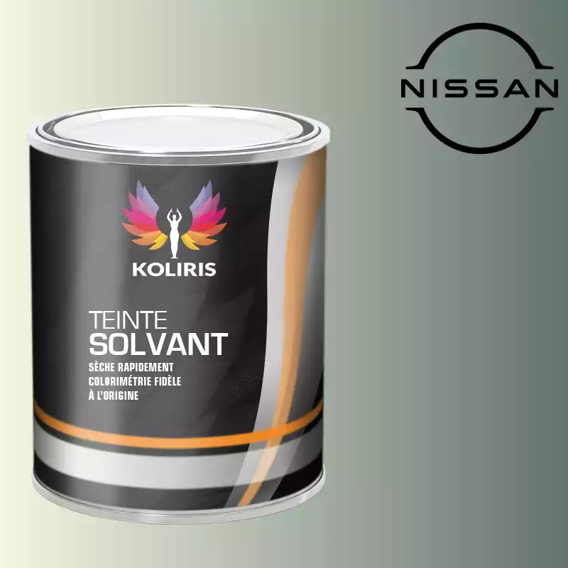 Peinture voiture solvant Nissan