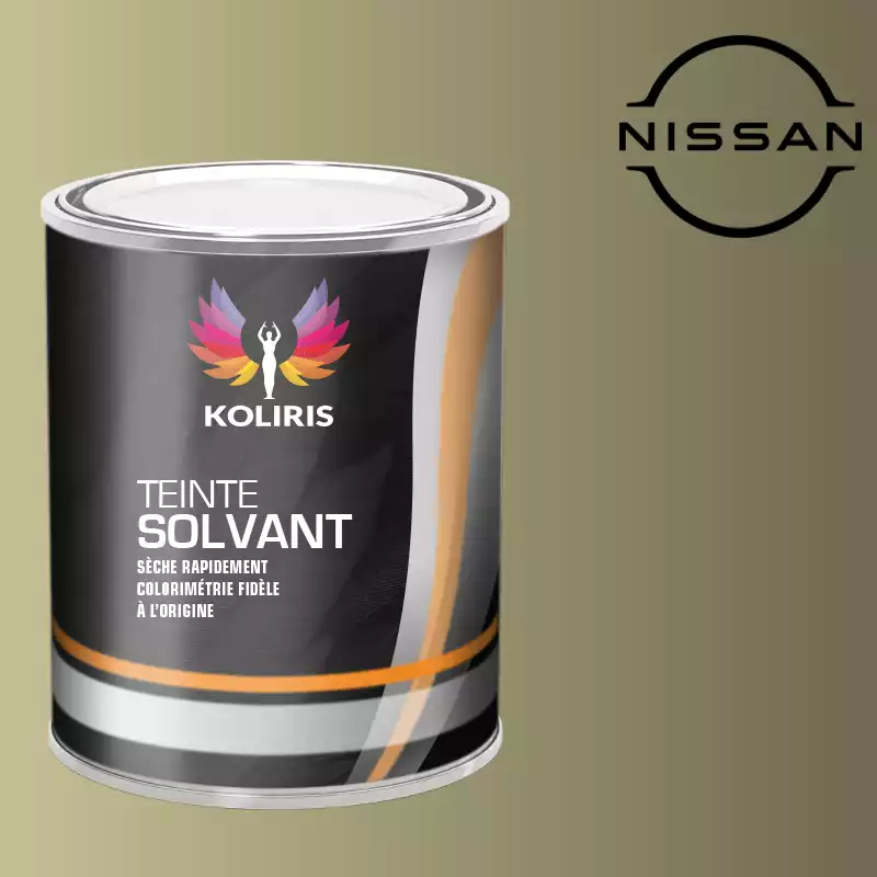 Peinture voiture solvant Nissan