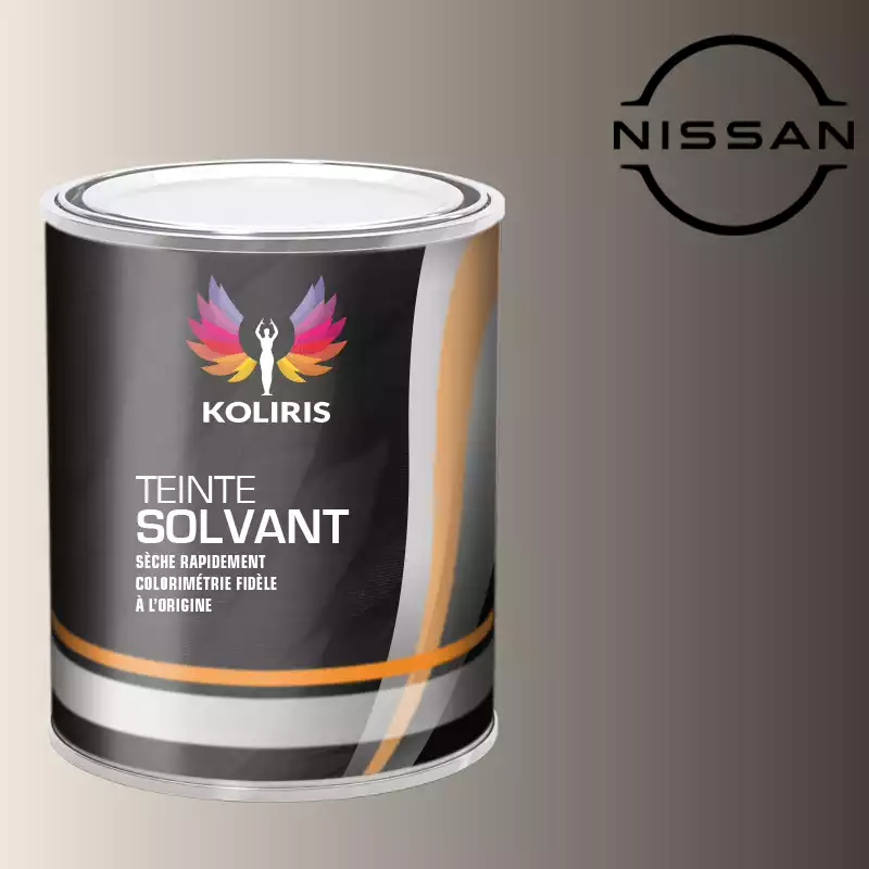 Peinture voiture solvant Nissan