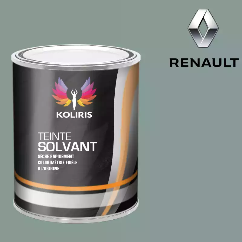 Peinture voiture solvant Renault