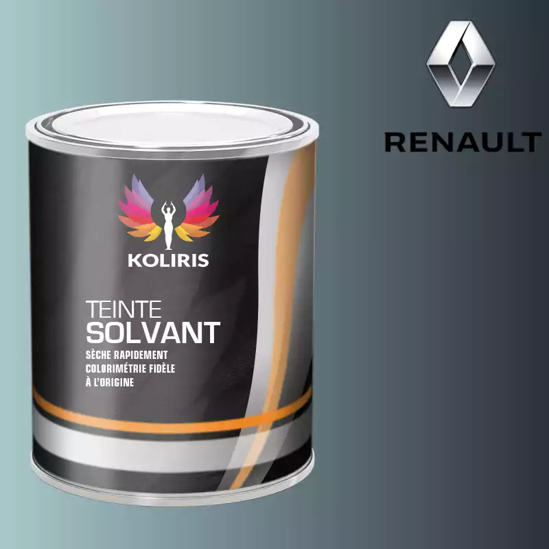 Peinture voiture solvant Renault