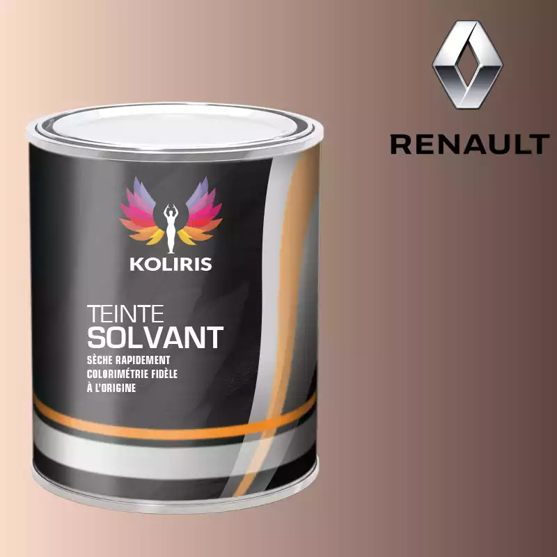 Peinture voiture solvant Renault