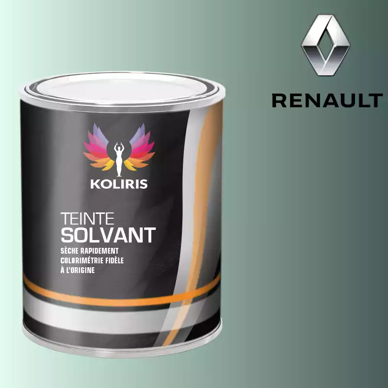 Peinture voiture solvant Renault