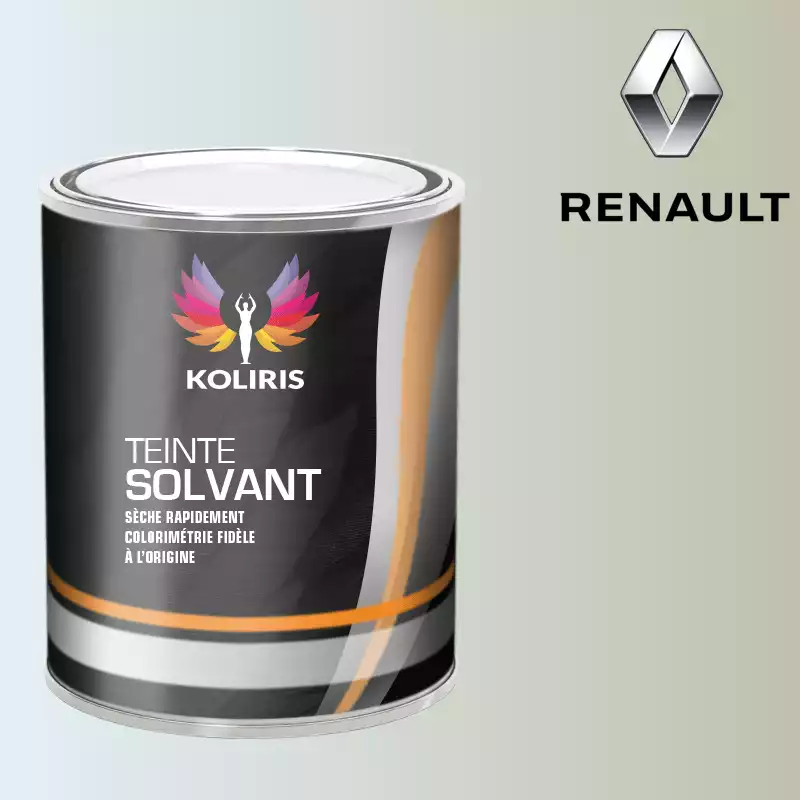 Peinture voiture solvant Renault