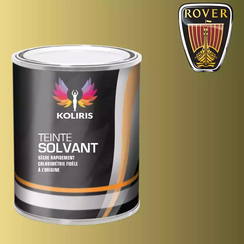 Peinture voiture solvant Rover