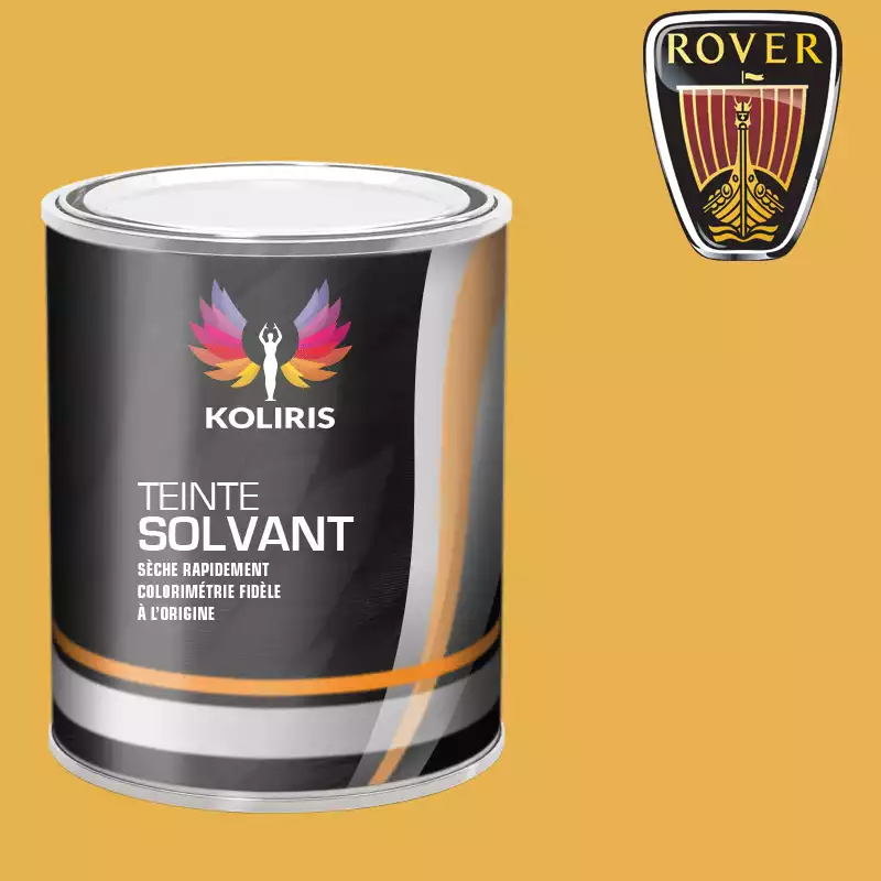 Peinture voiture solvant Rover